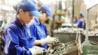 ADB và Thụy Sĩ: Hỗ trợ 5 triệu USD cải thiện tiếp cận tài chính cho doanh nghiệp nhỏ và vừa tại Việt