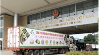 Xuất khẩu chính ngạch xe sầu riêng đầu tiên qua Cửa khẩu Kim Thành