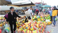 Ùn ứ nông sản tại Tân Thanh, trái cây quay về Hà Nội chờ giải cứu