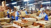 Xuất khẩu gỗ và sản phẩm gỗ sụt giảm tháng thứ ba liên tiếp