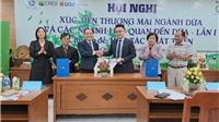 Tăng cường hợp tác phát triển ngành dừa Việt Nam