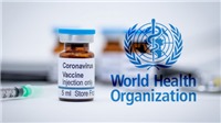 WHO kêu gọi chia sẻ vaccine cho các nước nghèo