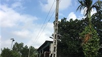 Thanh Hóa: Điện lực trồng cột, nâng cấp đường dây, dân hết cảnh lo sợ