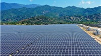Thị trường năng lượng tái tạo Việt Nam thu hút nhà đầu tư ngoại