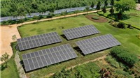 Vinamilk đầu tư hệ thống năng lượng mặt trời tại 12 trang trại trên cả nước
