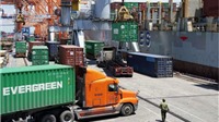 Hoạt động xuất khẩu gặp khó do chi phí logistics tăng cao