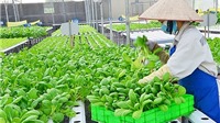 Hà Nội công bố thủ tục hành chính sản phẩm, hàng hóa thuộc lĩnh vực nông nghiệp