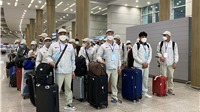 Cảnh báo lừa đảo tuyển dụng và thu phí lao động thời vụ đi Hàn Quốc