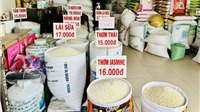 Giá lúa gạo hôm nay 26/9: Điều chỉnh nhẹ với mặt hàng lúa