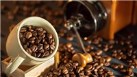 Giá cà phê hôm nay 5/10: Trong nước và thế giới đồng loạt giảm