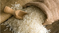 Giá lúa gạo hôm nay 9/10: Thị trường tiếp tục lặng sóng