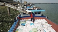 Một quốc gia Đông Nam Á tăng nhập khẩu gạo Việt Nam gấp 53 lần