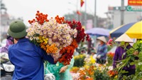 Hà Nội: Chiều 30 Tết, người dân vẫn nườm nợp mua bán hoa
