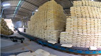 Xuất khẩu gạo trong mùa dịch Covid-19: Nên chủ động đón "sóng" tăng giá