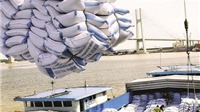 Thanh tra Chính phủ vào cuộc thanh tra về xuất khẩu gạo