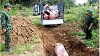 Giám sát chất lượng môi trường tại một số ô chôn lấp lợn bị bệnh dịch