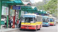 Hà Nội sẽ mở thêm từ 25-30 tuyến xe buýt vào năm 2020