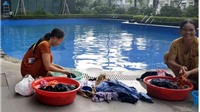  Cư dân mang quần áo giặt giũ, múc nước bể bơi để dùng trong "cơn khát" ở Hà Nội 
