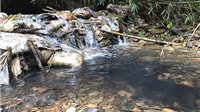 "Công ty nước sạch Sông Đà phải bồi thường thiệt hại hoàn toàn"