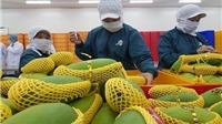 Thị trường xuất khẩu rau quả của Việt Nam đạt 2,82 tỷ USD trong 9 tháng