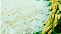 Gạo Việt Nam đoạt giải ngon nhất thế giới