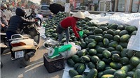 Nghiên cứu nguồn hàng rau quả để xuất khẩu