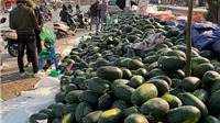 Bộ Công Thương khuyến cáo hạn chế đưa nông sản lên biên giới Trung Quốc