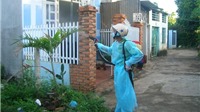 Dịch vụ phun thuốc muỗi phòng sốt xuất huyết hút khách đầu hè