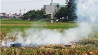 Hà Nội kiểm tra tình trạng đốt rơm rạ tại 20 huyện, thị xã