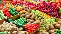  Xuất khẩu rau quả đạt 1,8 tỷ USD trong 6 tháng qua