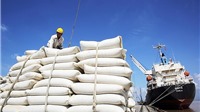Giá gạo &#39;lên đỉnh&#39; sau 9 năm, Philippines mua hơn 1/3 gạo Việt Nam sản xuất được