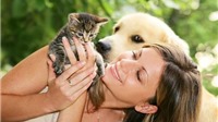 Chuyên gia y tế giải đáp thắc mắc ‘thú cưng’ chó, mèo lây truyền virus corona