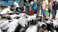 Xuất khẩu cá ngừ tăng trưởng trở lại