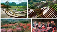 3 địa điểm du lịch trải nghiệm nổi tiếng ở Yên Bái 