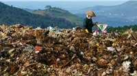 Xử lý rác thải bất cập có thể lan truyền vi khuẩn "ăn thịt người" Whitmore