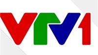 Lịch phát sóng kênh VTV1 hôm nay 15/2/2020