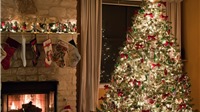  Nguồn gốc truyền thống trang trí cây thông dịp Giáng sinh 