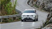 Cú lột xác của Green Future và cơ hội vươn mình chinh phục thị trường quốc tế 