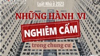  Những hành vi bị nghiêm cấm trong chung cư theo Luật Nhà ở 2023 