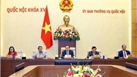  Bổ sung cơ chế kiểm tra, đánh giá, bảo đảm chất lượng nhà ở xã hội 