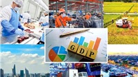 Cục Thống kê: Sáu tháng cuối năm GDP cần tăng 8,42% để đạt mục tiêu cả năm 