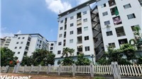 Chính phủ quy định 22 trường hợp được miễn thuế thu nhập cá nhân 