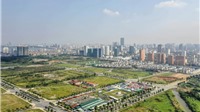 Đấu giá đất nền "sốt" trở lại: Ai đang xuống tiền? 