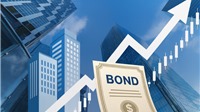 Bất động sản bứt phá trên thị trường TPDN: Cơ hội phục hồi đi kèm áp lực 
