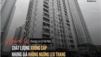 Hà Nội: Giá rao bán chung cư cũ chưa có sổ hồng vượt ngưỡng 120 triệu đồng/m2 