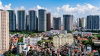 Quý IV/2025: Hàng loạt doanh nghiệp bất động sản báo lãi lớn 