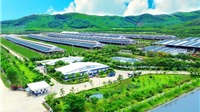 Người dân hưởng lợi gì khi doanh nghiệp làm “Net Zero” 