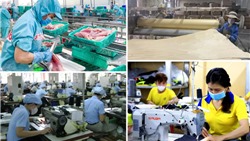 Bộ Chính trị ban hành Nghị quyết mới: Xóa bỏ triệt để thái độ định kiến về KTTN