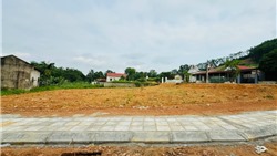 Đất nền "soán ngôi" chung cư, dẫn dắt thị trường bất động sản quý I/2025 