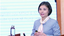  TS. Nguyễn Minh Thảo: Đây là thời điểm vàng để cải thiện môi trường kinh doanh 